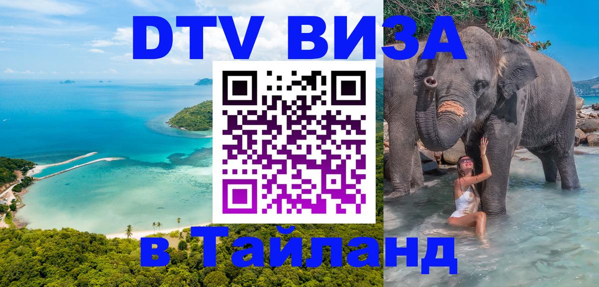 Как сделать DTV визу в Тайланд Киров 